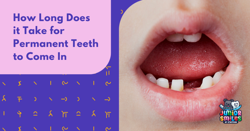 How Long Does it Take for Permanent Teeth to Come In